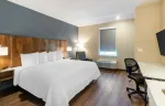 Studio Suite - 1 King Bed