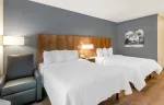 Studio Suite - 2 Queen Beds