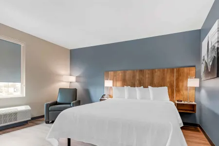 Studio Suite - 1 King Bed