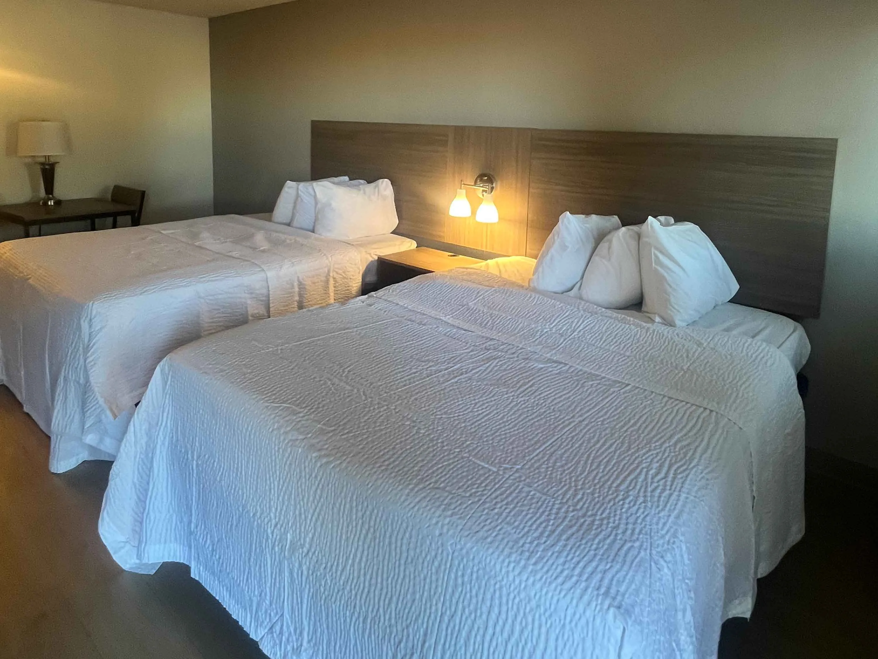 Studio Suite - 2 Queen Beds