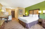 Studio Suite - 1 Queen Bed