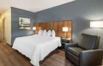 Studio Suite - 1 King Bed