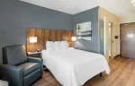 Studio Suite - 1 Queen Bed
