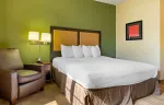 Studio Suite - 1 King Bed
