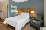 Studio Suite - 1 Queen Bed