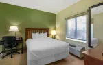 1 Bedroom Suite - 1 Queen Bed