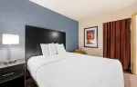 1 Bedroom Suite - 1 King Bed