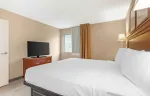 1 Bedroom Suite - 1 King Bed