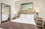 Studio Suite - 1 Queen Bed