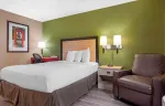 Studio Suite - 1 Queen Bed