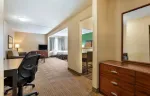 Deluxe Studio - 2 Full Beds