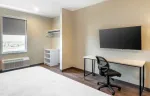 Studio Suite - 1 King Bed