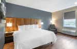 Studio Suite - 1 King Bed