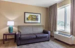 Deluxe Studio - 2 Full Beds