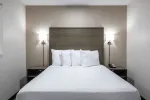 1 Bedroom Suite - 1 Queen Bed
