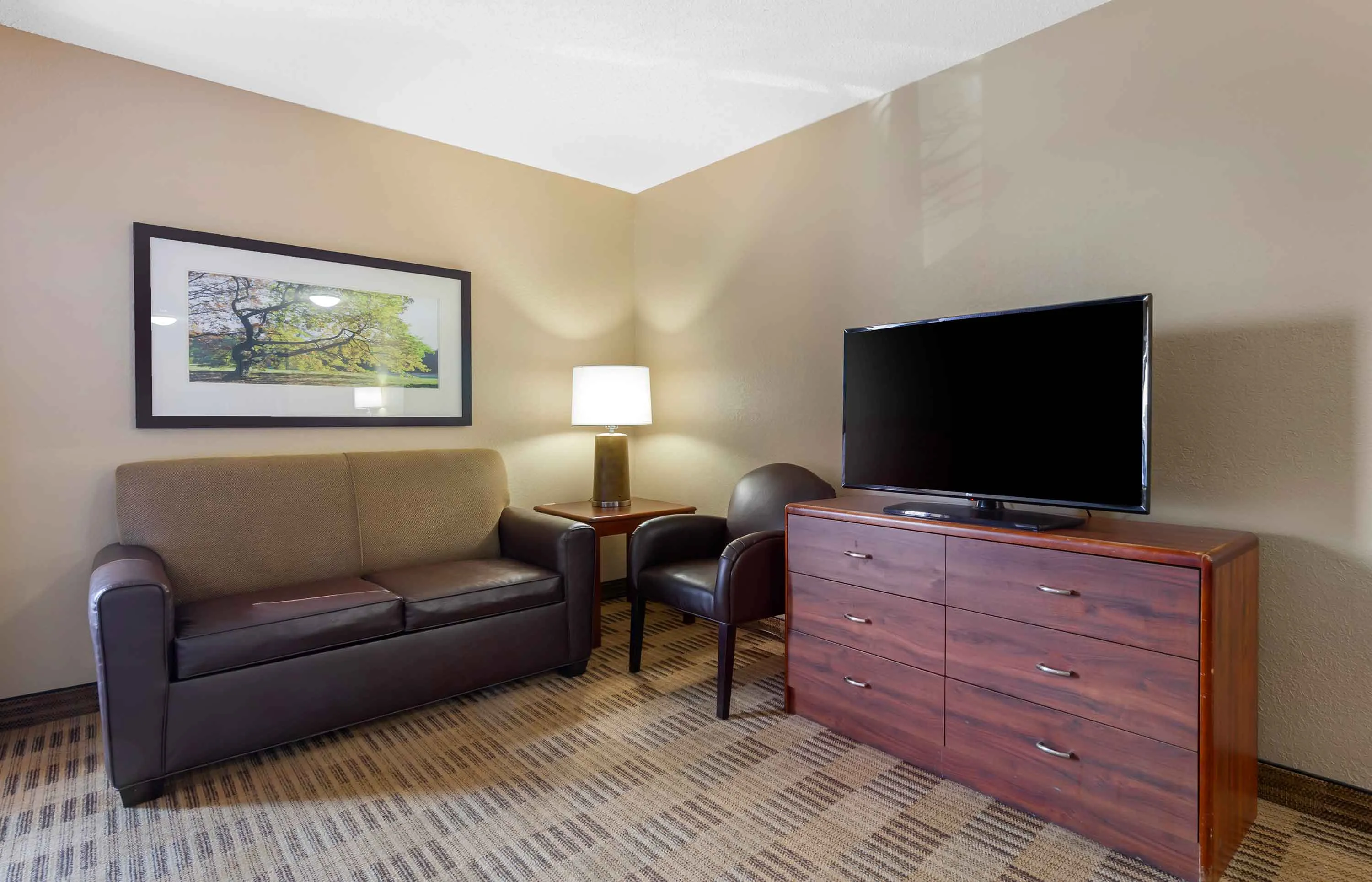 Deluxe Studio - 1 King Bed