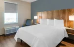 Studio Suite - 1 Queen Bed