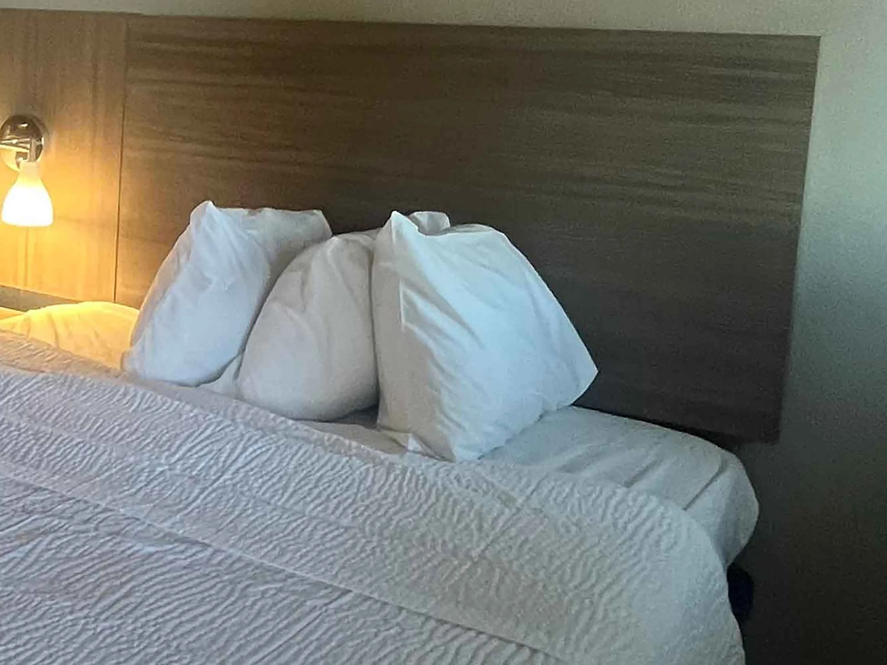 Studio Suite - 1 King Bed