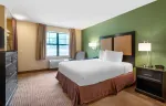 Studio Suite - 1 Queen Bed