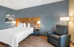 Studio Suite - 1 King Bed