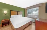 1 Bedroom Suite - 1 King Bed