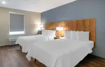 Studio Suite - 2 Queen Beds