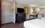 Studio Suite - 2 Full Beds
